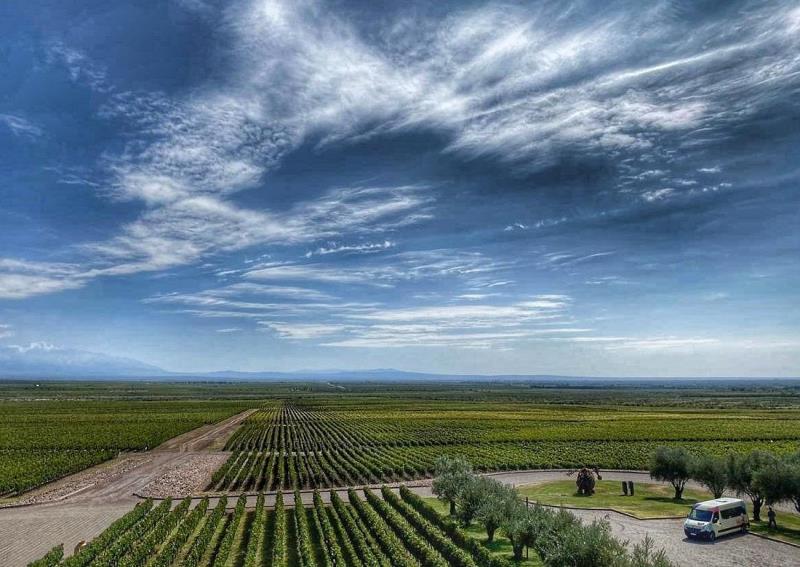 소그룹 원데이 와인투어